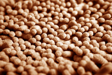 Similar image 5762930