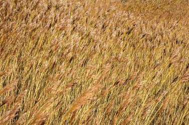 Similar image 5762933