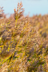 Similar image 5762934