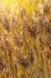 Similar image 5762935