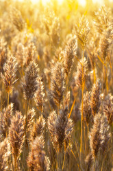 Similar image 5762936