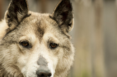 Similar image 5762951