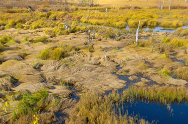 Similar image 5762953