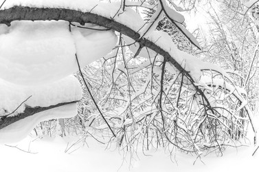 Similar image 5762954