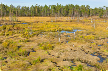 Similar image 5762958