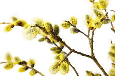 Similar image 5763012