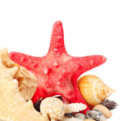 Similar image 5763014