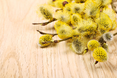 Similar image 5763024