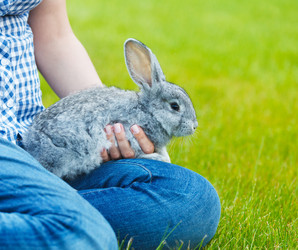 Similar image 5763072