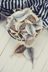 Similar image 5763093