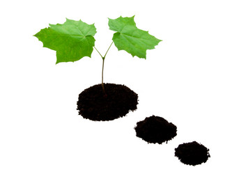 Similar image 5763805