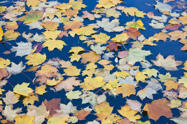 Similar image 5763811