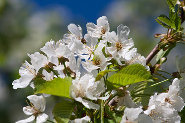 Similar image 5763875