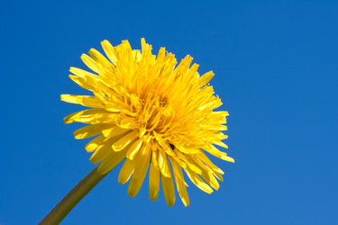 Similar image 5763876