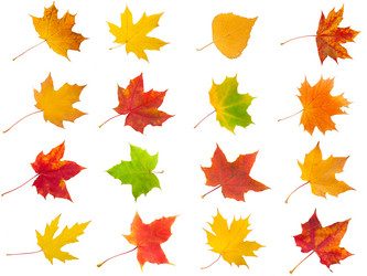 Similar image 5763889