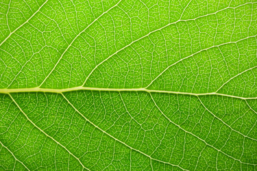 Similar image 5763915