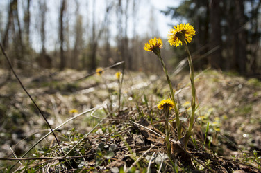 Similar image 5763931