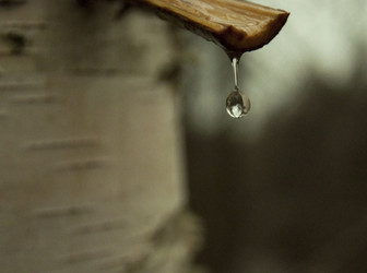 Similar image 5763933