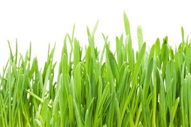 Similar image 5764026