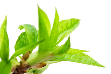 Similar image 5764033