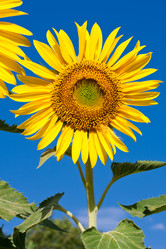 Similar image 5764053