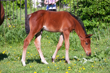 Similar image 5764080