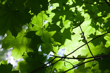 Similar image 5764082