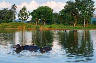 Similar image 5764232