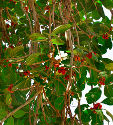 Similar image 5764268