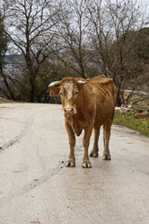 Similar image 5764368