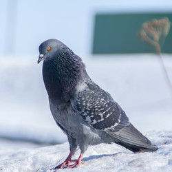 Similar image 5764604