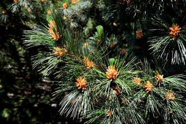 Similar image 5764792