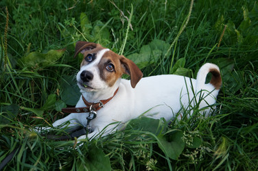 Similar image 5764824