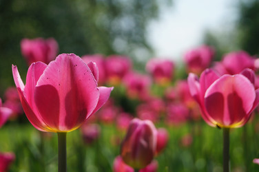 Similar image 5764826