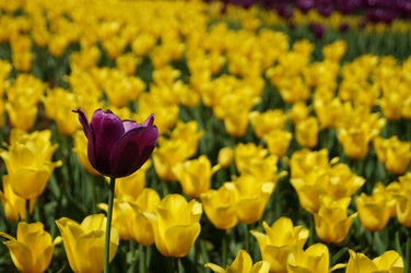 Similar image 5764827