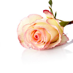 Similar image 5764853