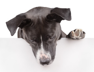 Similar image 5764875