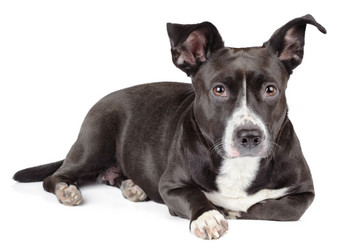 Similar image 5764876