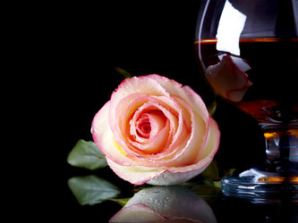 Similar image 5764891