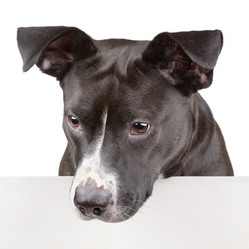 Similar image 5764895