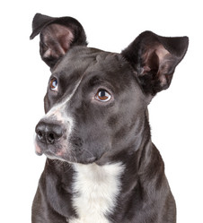 Similar image 5764897