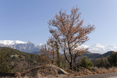 Similar image 5764900