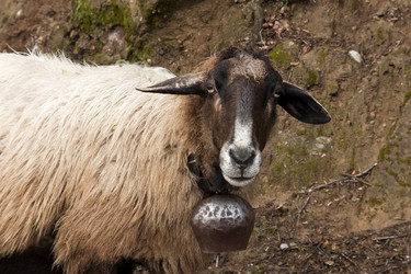 Similar image 5764907