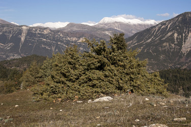 Similar image 5764915