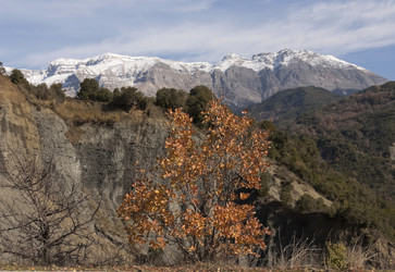 Similar image 5764917