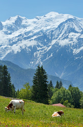 Similar image 5765002