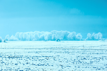 Similar image 5765004