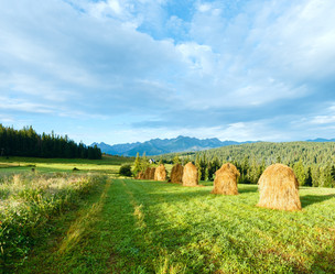 Similar image 5765010