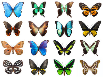 Similar image 5765017