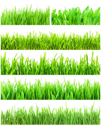 Similar image 5765019